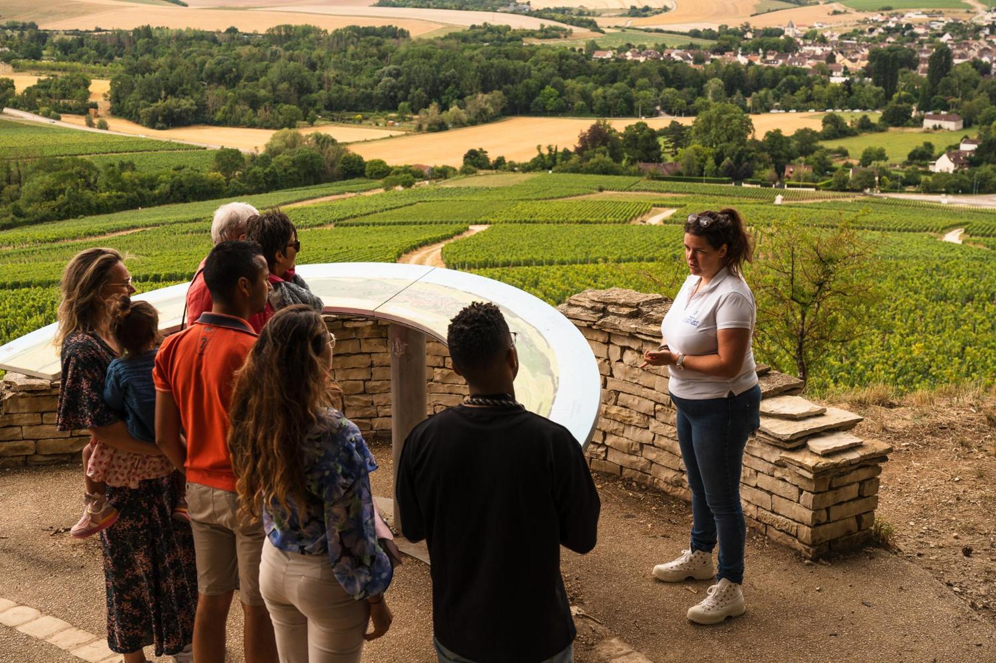 Appartements Domaine Gueguen Chablis Zewnętrze zdjęcie